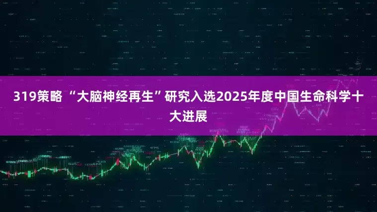 319策略 “大脑神经再生”研究入选2025年度中国生命科学十大进展