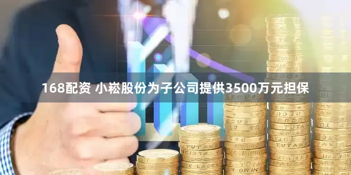 168配资 小崧股份为子公司提供3500万元担保